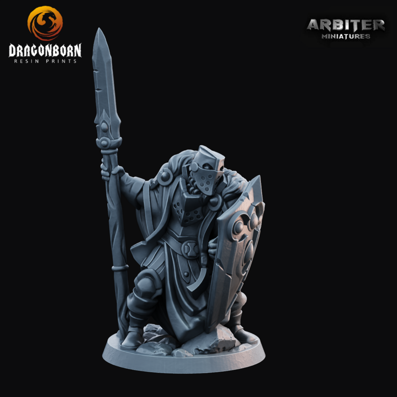 Paladin Male 2 - DnD RPG Wargaming Miniatures 