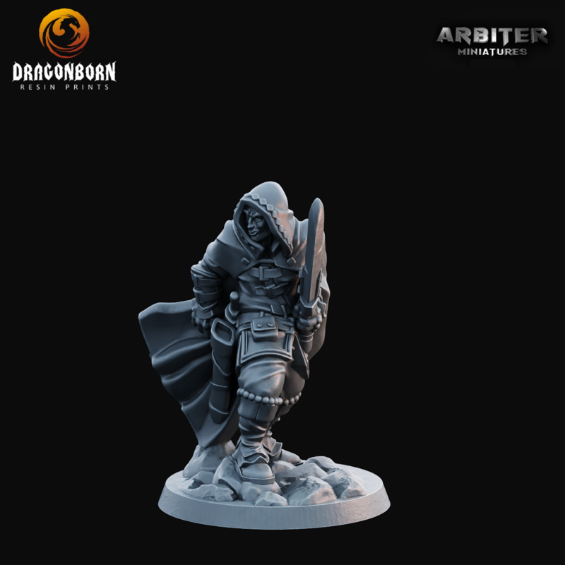 Thief Male 1 - DnD RPG Wargaming Miniatures 