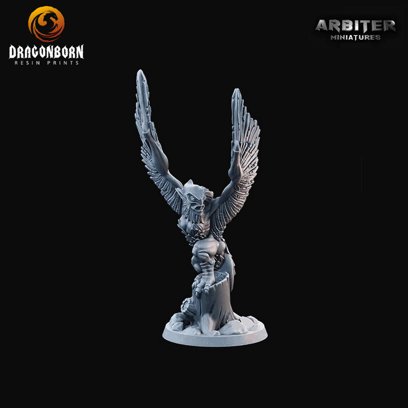 Harpy 2 - DnD RPG Wargaming Miniatures 