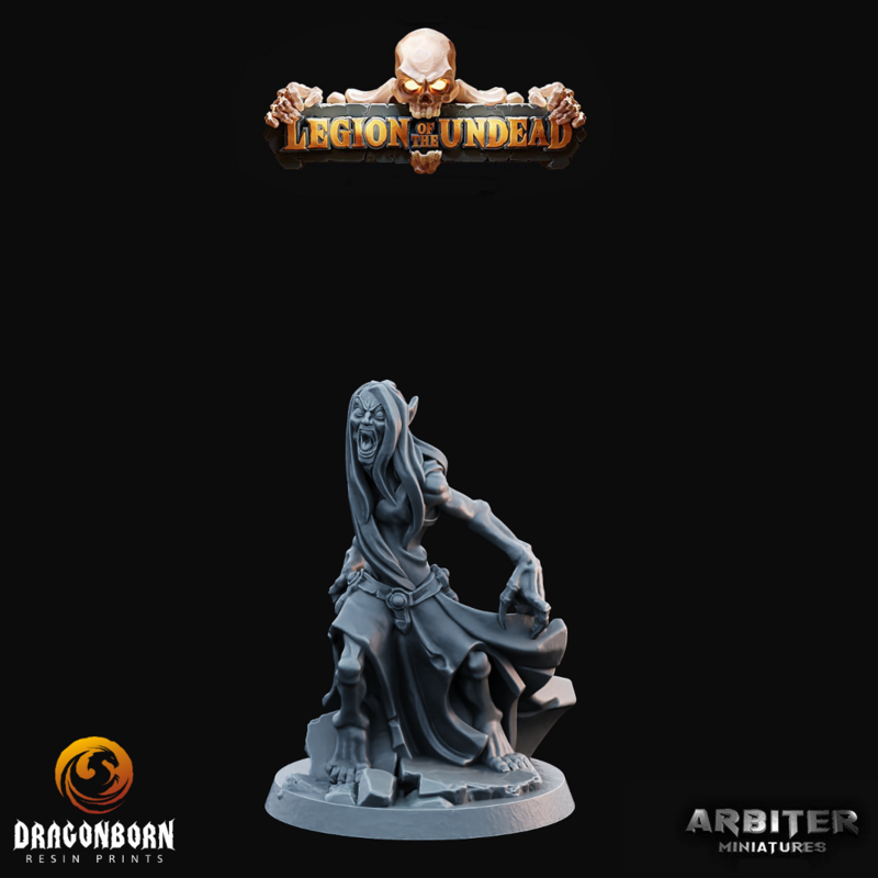 Banshee 2 - DnD RPG Wargaming Miniatures
