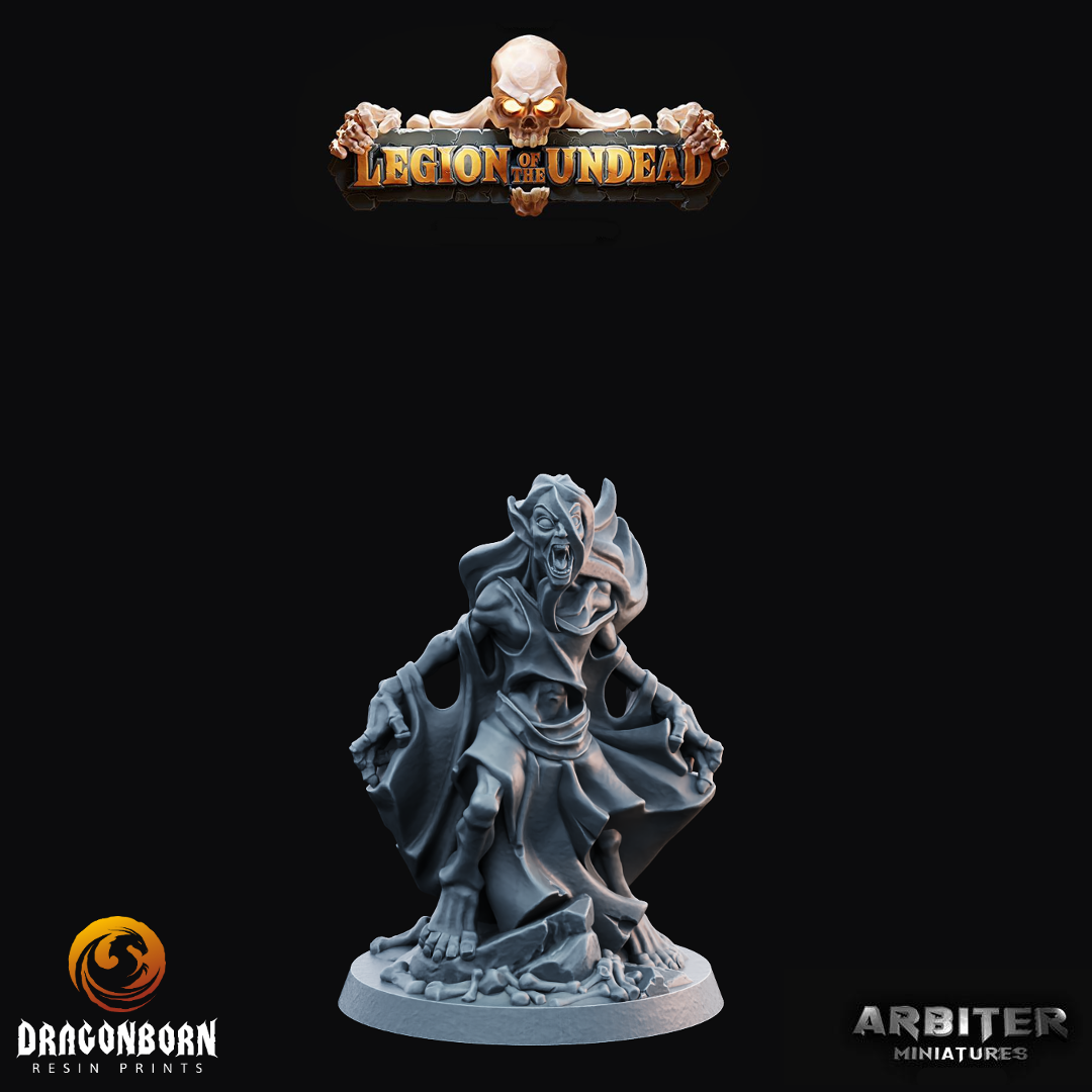 Banshee 1 - DnD RPG Wargaming Miniatures