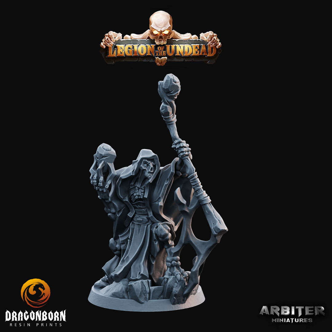 Undead Reaver 1 - DnD RPG Wargaming Miniatures