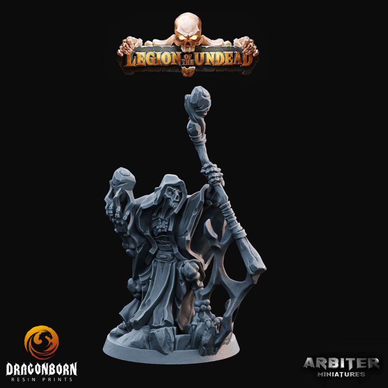 Undead Reaver 1 - DnD RPG Wargaming Miniatures