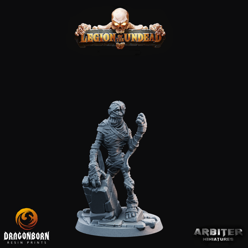 Mummy 1 - DnD RPG Wargaming Miniatures