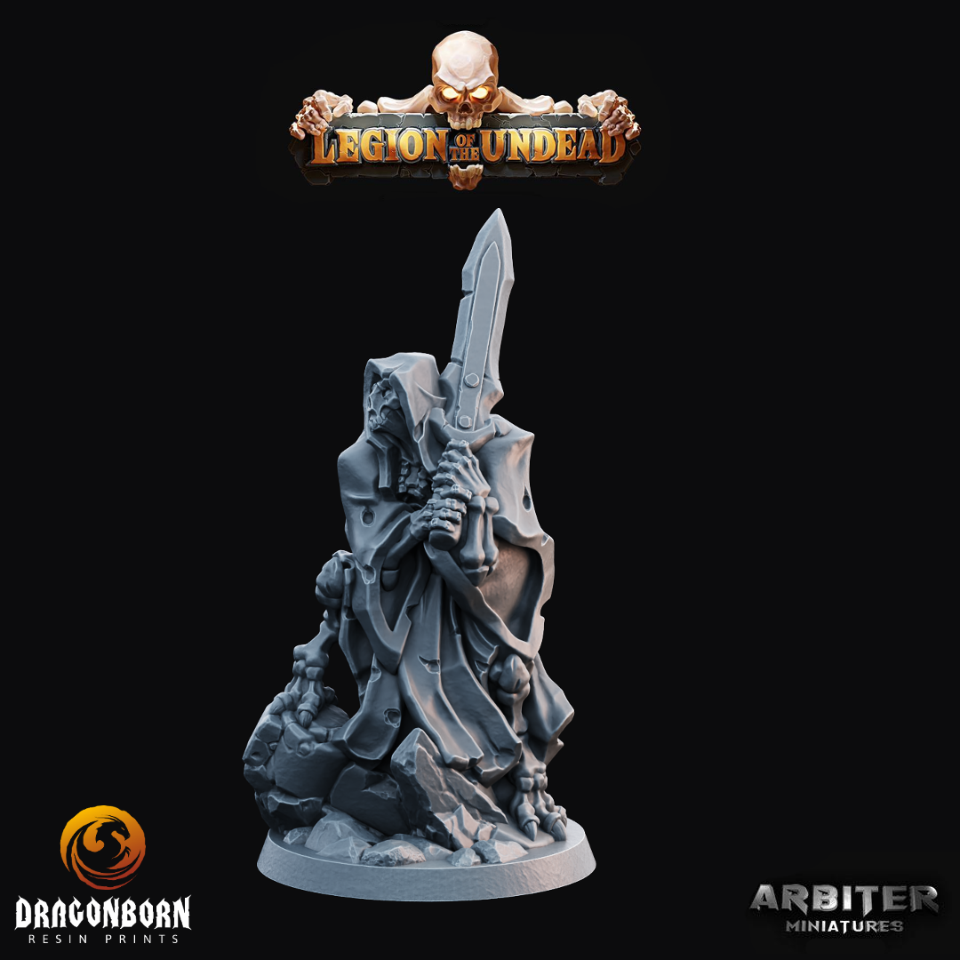Undead Reaver 2 - DnD RPG Wargaming Miniatures
