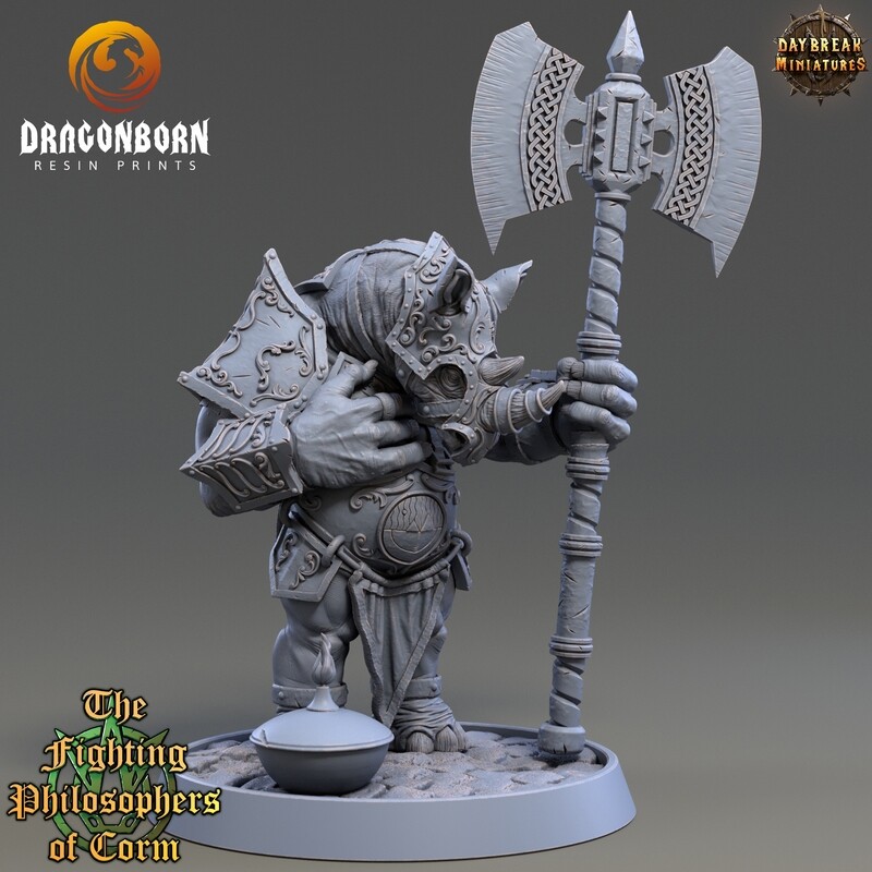 Archytas Heartfell - Rhinokin Rhino Folk Warrior DnD RPG Wargaming Miniatures