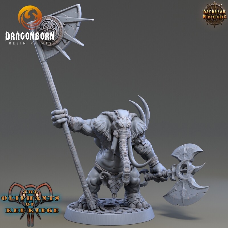 Dourbe Tuskbanner - Oliphant Warrior DnD RPG Wargaming Miniatures