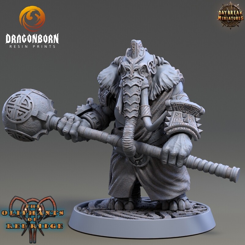 Shurbe Spherius - Oliphant Warrior DnD RPG Wargaming Miniatures