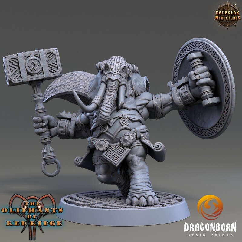 Castor Bonkworth - Oliphant Warrior DnD RPG Wargaming Miniatures