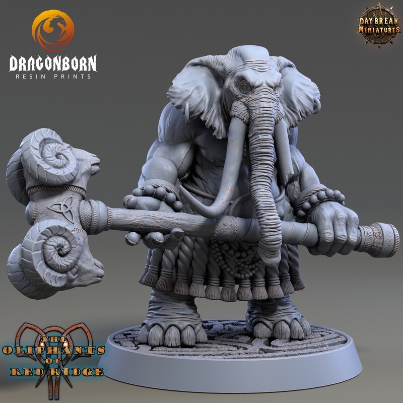 Plaaka Headgear - Oliphant Warrior DnD RPG Wargaming Miniatures