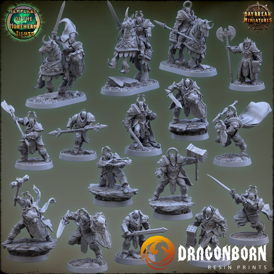 Templars of the Northern Lights Set - Paladin Warrior DnD RPG Wargaming Miniatures