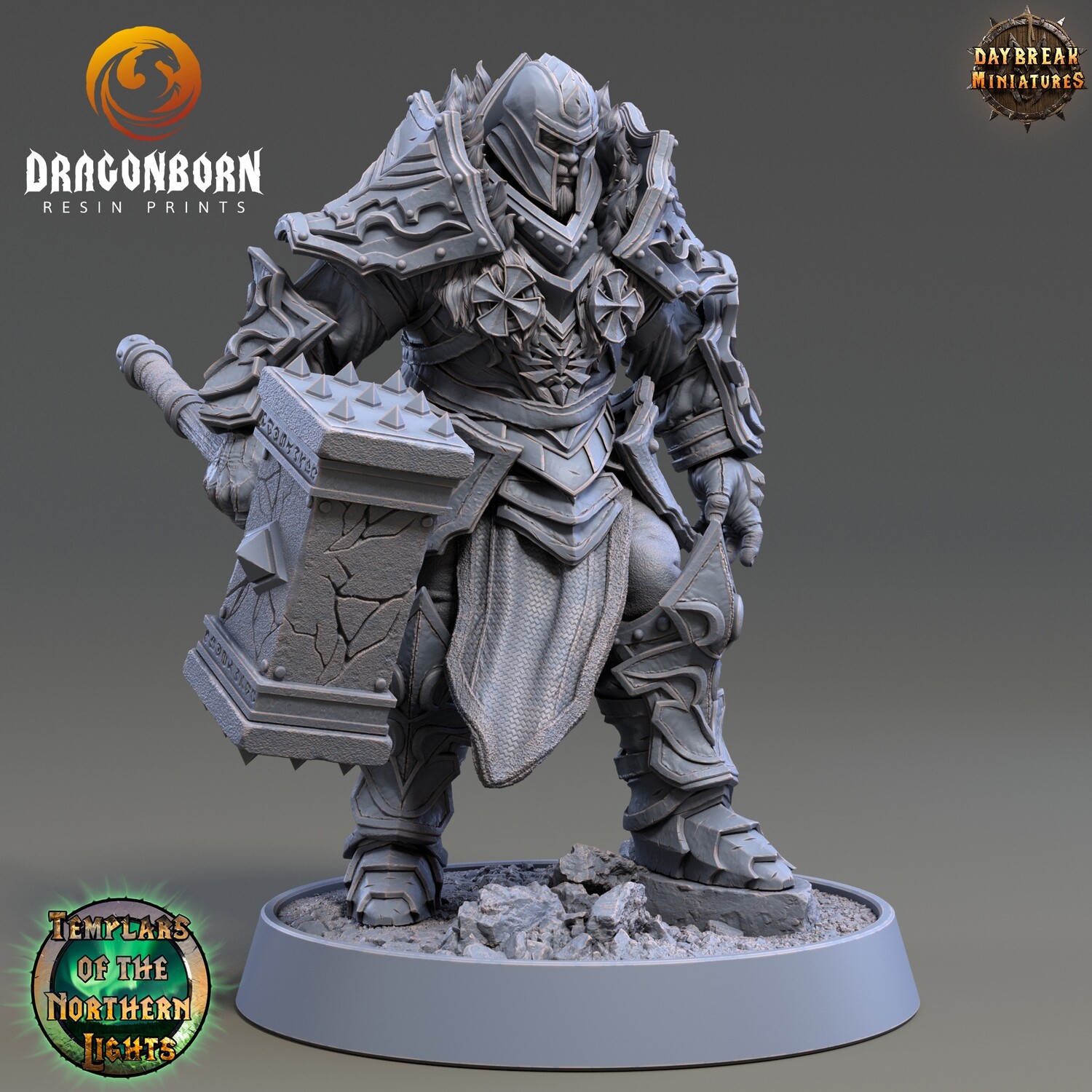 Carl Saturno - Hammer of Aídín - Paladin Warrior DnD RPG Wargaming Miniatures