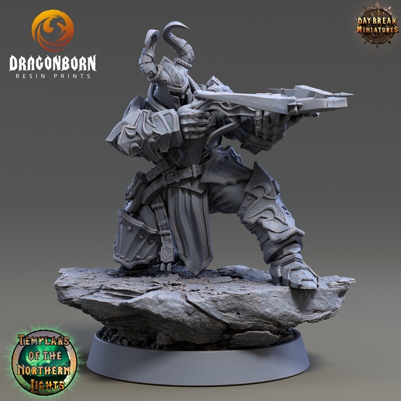 Erland Bloodwagon - Paladin Warrior DnD RPG Wargaming Miniatures