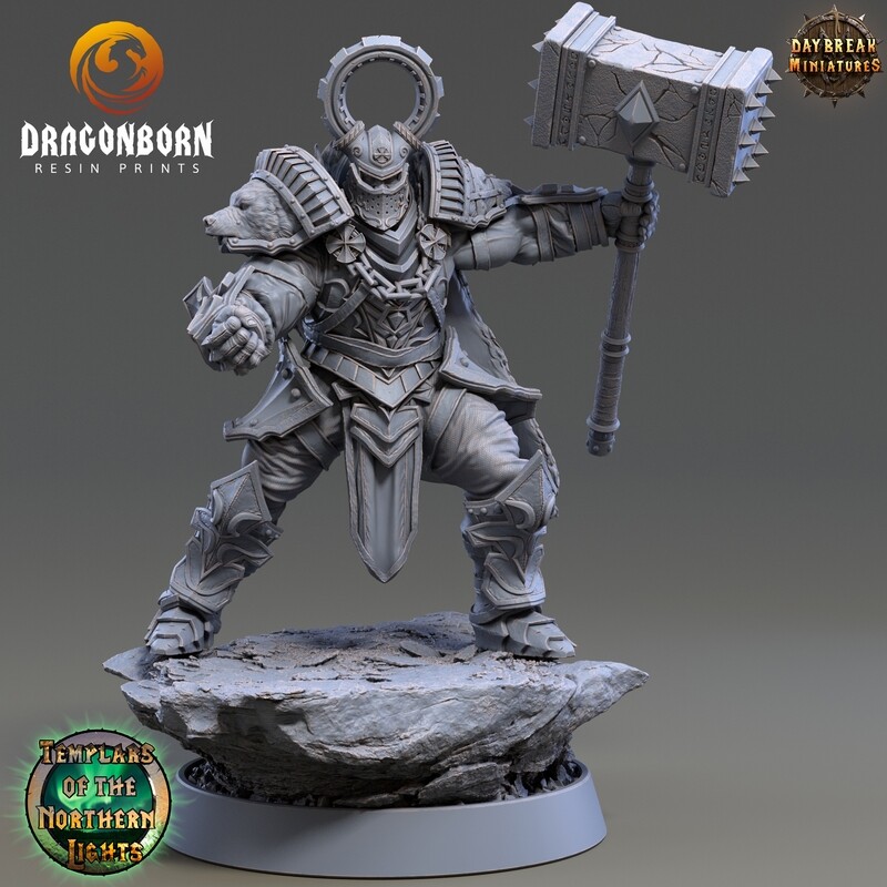 Ove Stonecold - Paladin Warrior DnD RPG Wargaming Miniatures