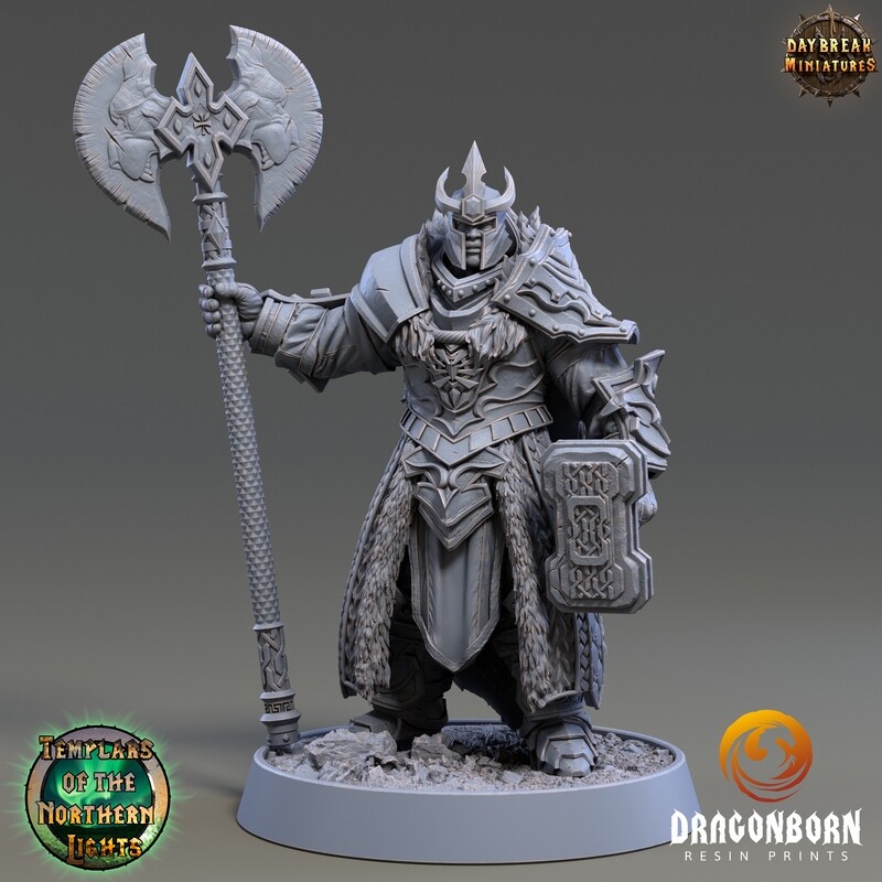 Holger Oather - Paladin Warrior DnD RPG Wargaming Miniatures