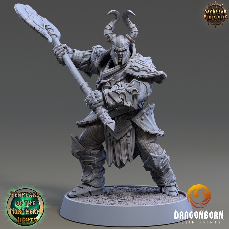 Bertil Draperinn - Paladin Warrior DnD RPG Wargaming Miniatures