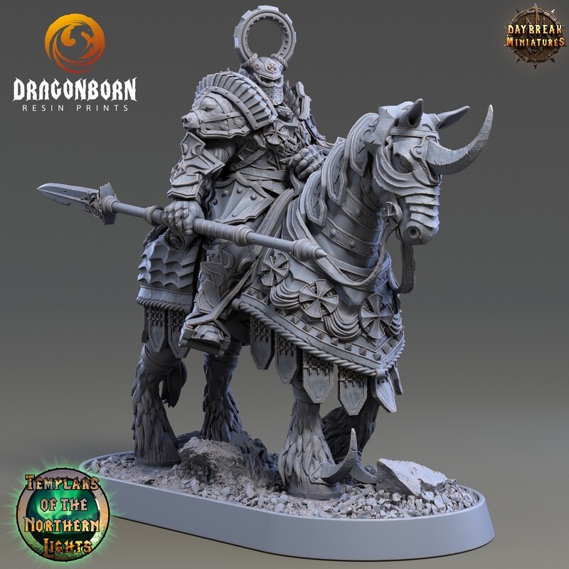 Ritter Johannes Larkner - Paladin Warrior DnD RPG Wargaming Miniatures