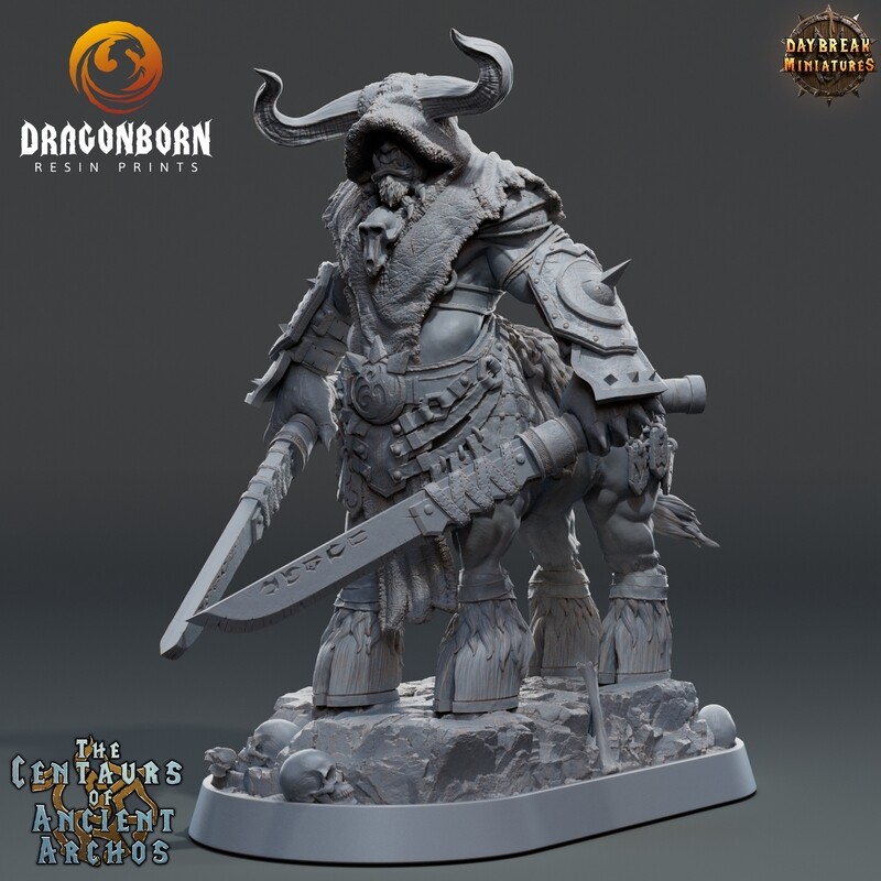 Ferezs Castor - Centaur Warrior DnD RPG Wargaming Miniatures