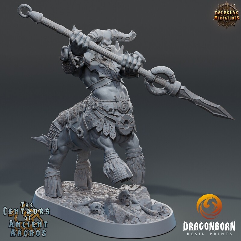 Zaka Ironpike - Centaur Warrior DnD RPG Wargaming Miniatures