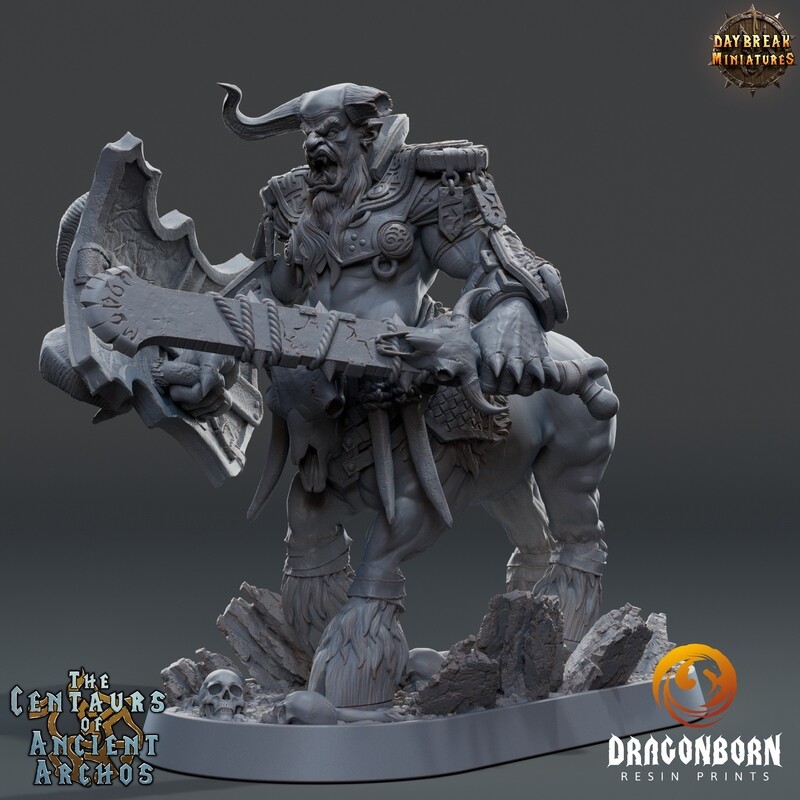 Stergus Severer - Centaur Warrior DnD RPG Wargaming Miniatures