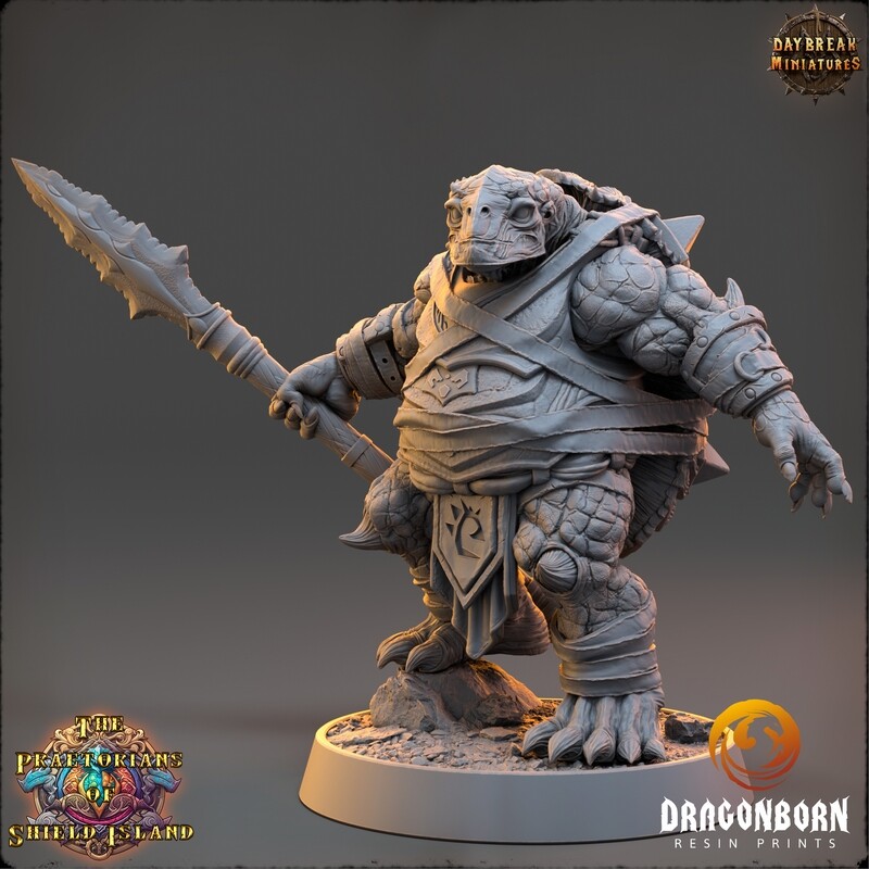 Daqvog - Tortle Turtle Warrior DnD RPG Wargaming Miniatures