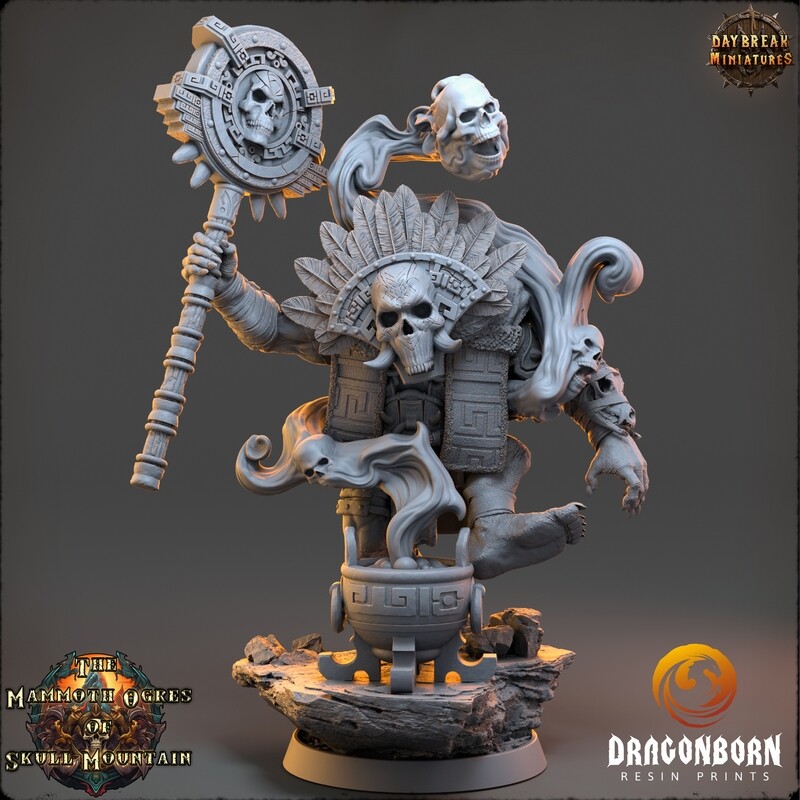 Skull Summoner Paktas Blox - Ogre Warrior DnD RPG Wargaming Miniatures