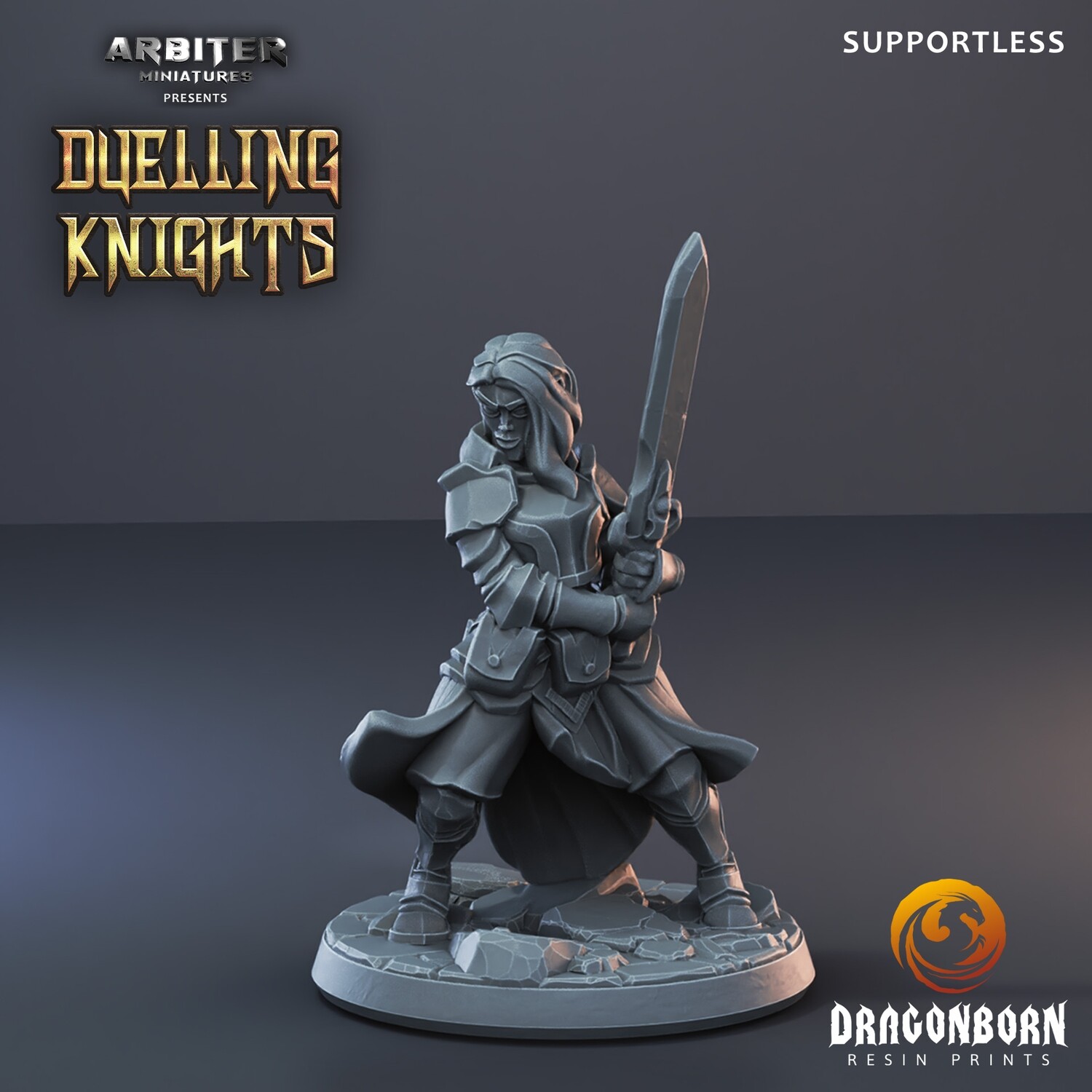 Female Knight 2 - DnD RPG Wargaming Miniatures
