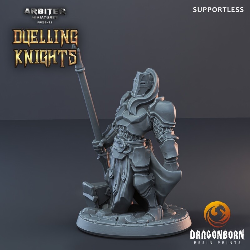 Male Knight 4 - DnD RPG Wargaming Miniatures
