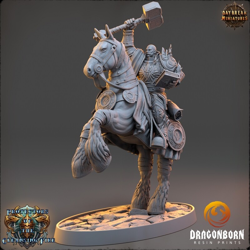 Count Ignatius Pyrethorn - Dark Paladin Warrior DnD RPG Wargaming Miniatures
