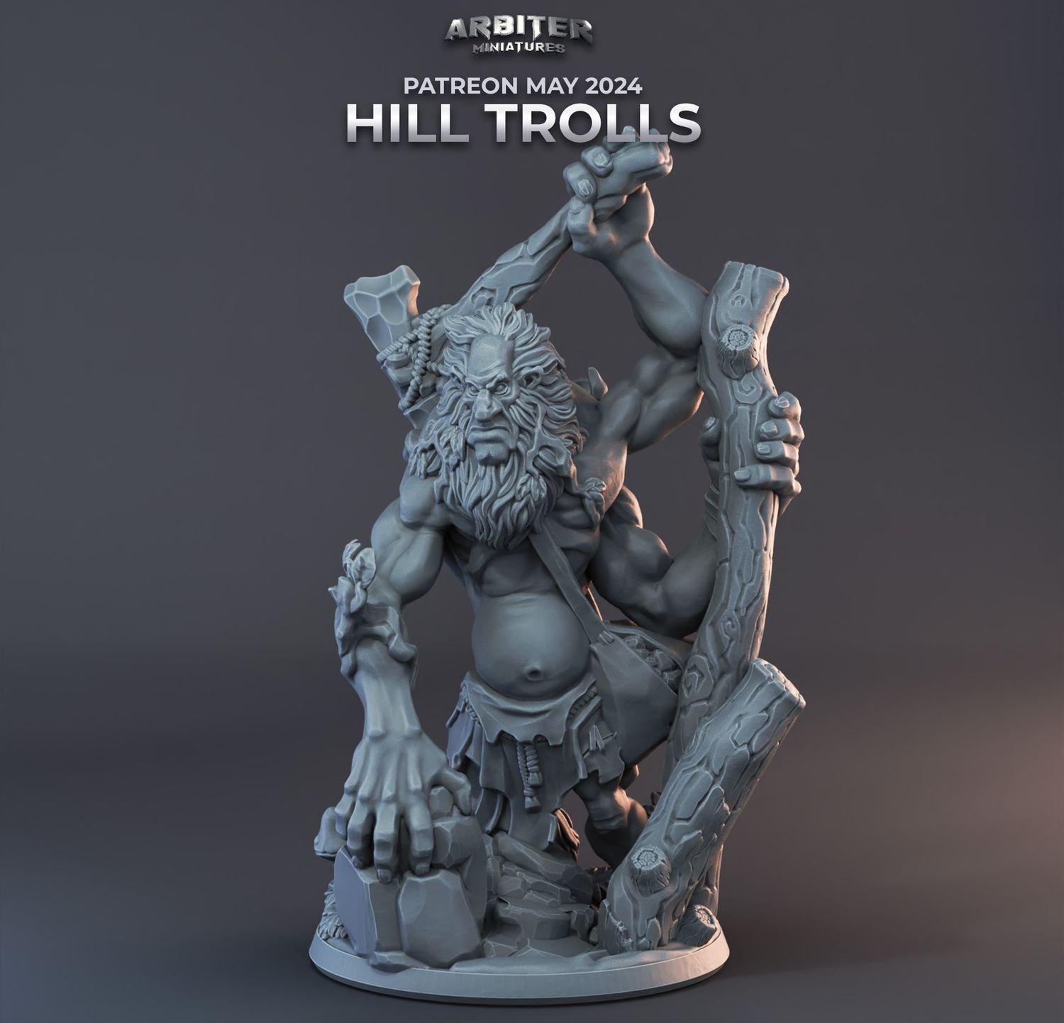 Troll 2 [24/05] - DnD RPG Wargaming Miniatures - supportless version