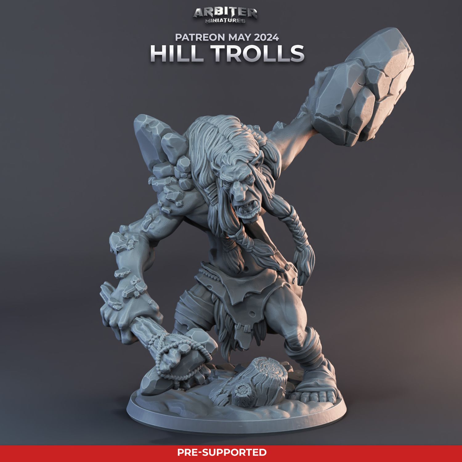 Troll 1 [24/05] - DnD RPG Wargaming Miniatures
