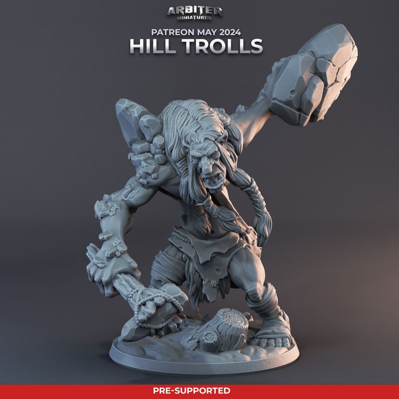 Troll 1 [24/05] - DnD RPG Wargaming Miniatures
