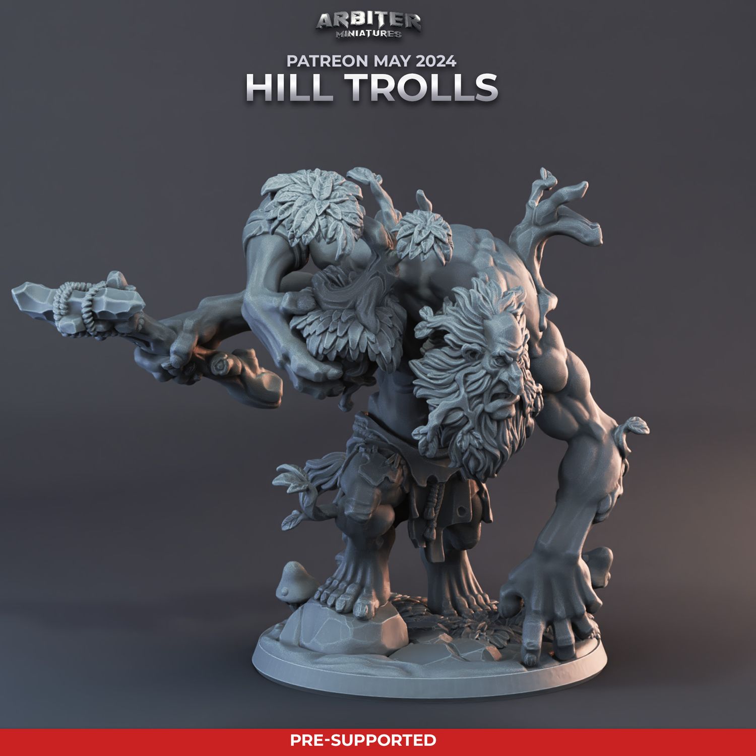 Troll 2 [24/05] - DnD RPG Wargaming Miniatures