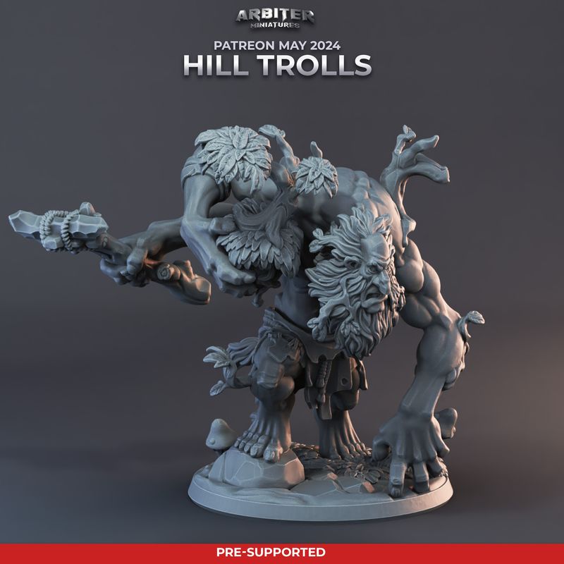Troll 2 [24/05] - DnD RPG Wargaming Miniatures