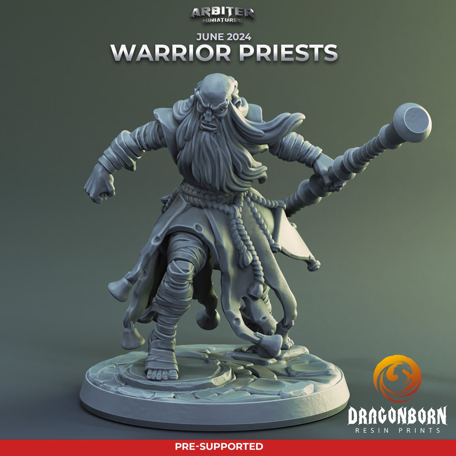 Warrior Priest Male 02 [24/06] - DnD RPG Wargaming Miniatures