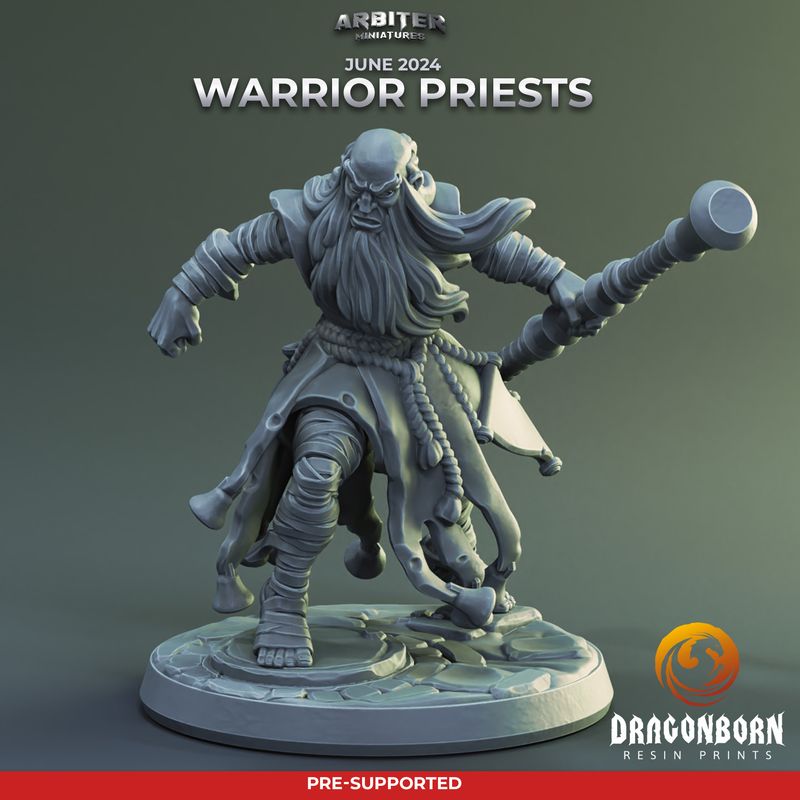 Warrior Priest Male 02 [24/06] - DnD RPG Wargaming Miniatures