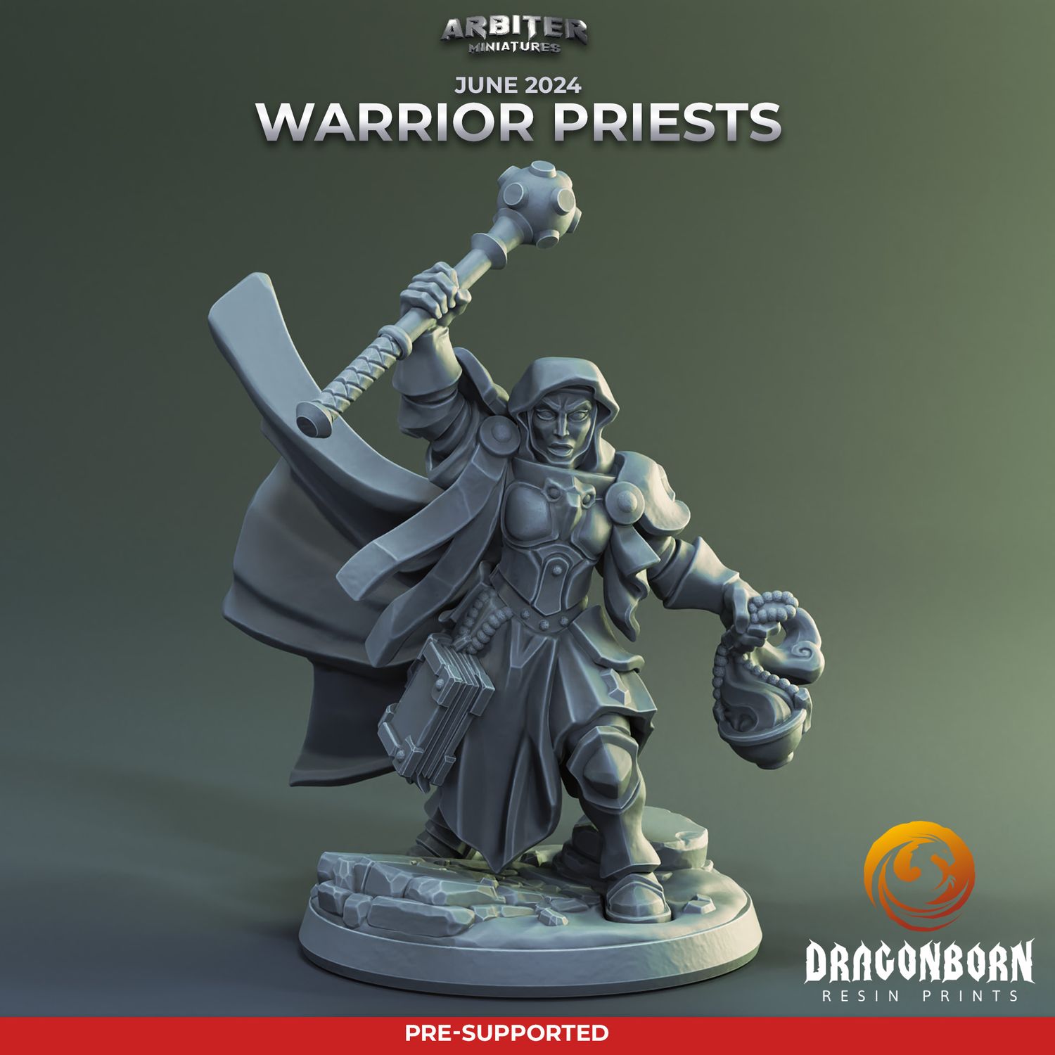 Warrior Priest Female 01 [24/06] - DnD RPG Wargaming Miniatures