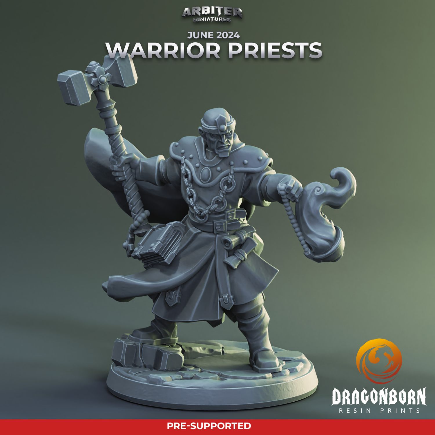 Warrior Priest Male 01 [24/06] - DnD RPG Wargaming Miniatures