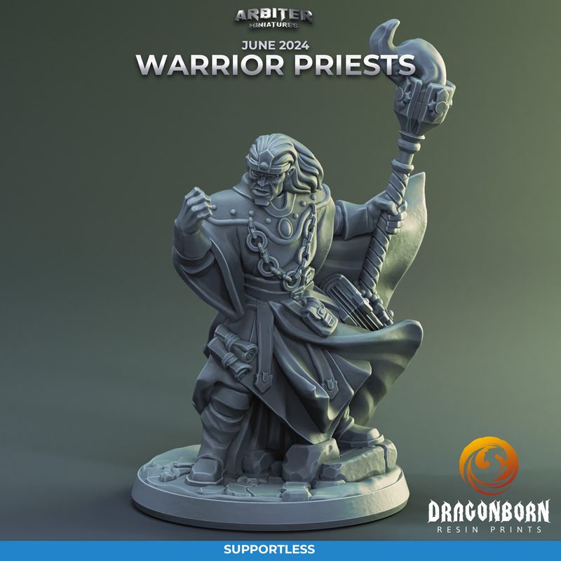 Warrior Priest Male 01 [24/06] - DnD RPG Wargaming Miniatures - supportless version