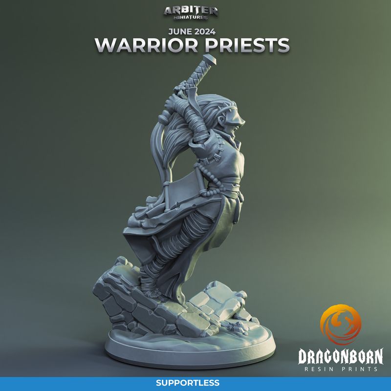 Warrior Priest Female 02 [24/06] - DnD RPG Wargaming Miniatures - supportless version