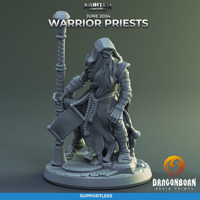 Warrior Priest Male 02 [24/06] - DnD RPG Wargaming Miniatures - supportless version