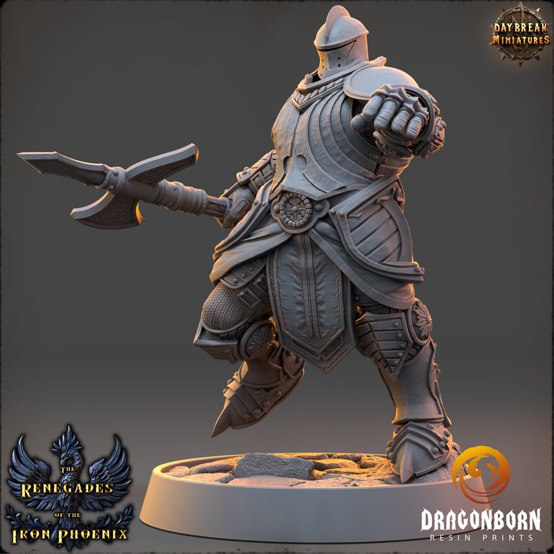 Hugues du Loup Solitaire - Paladin Warrior DnD RPG Wargaming Miniatures