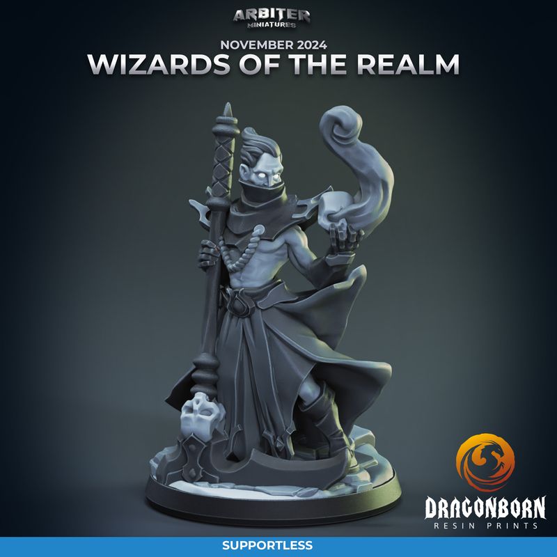 Wizards of the Realm - Male 01 [24/11] - DnD RPG Wargaming Miniatures - supportless version
