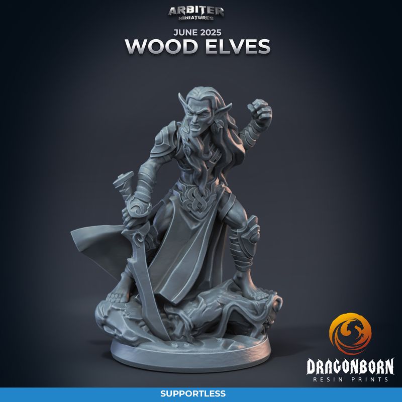Wood Elf 02 [25/06] - DnD RPG Wargaming Miniatures - supportless version