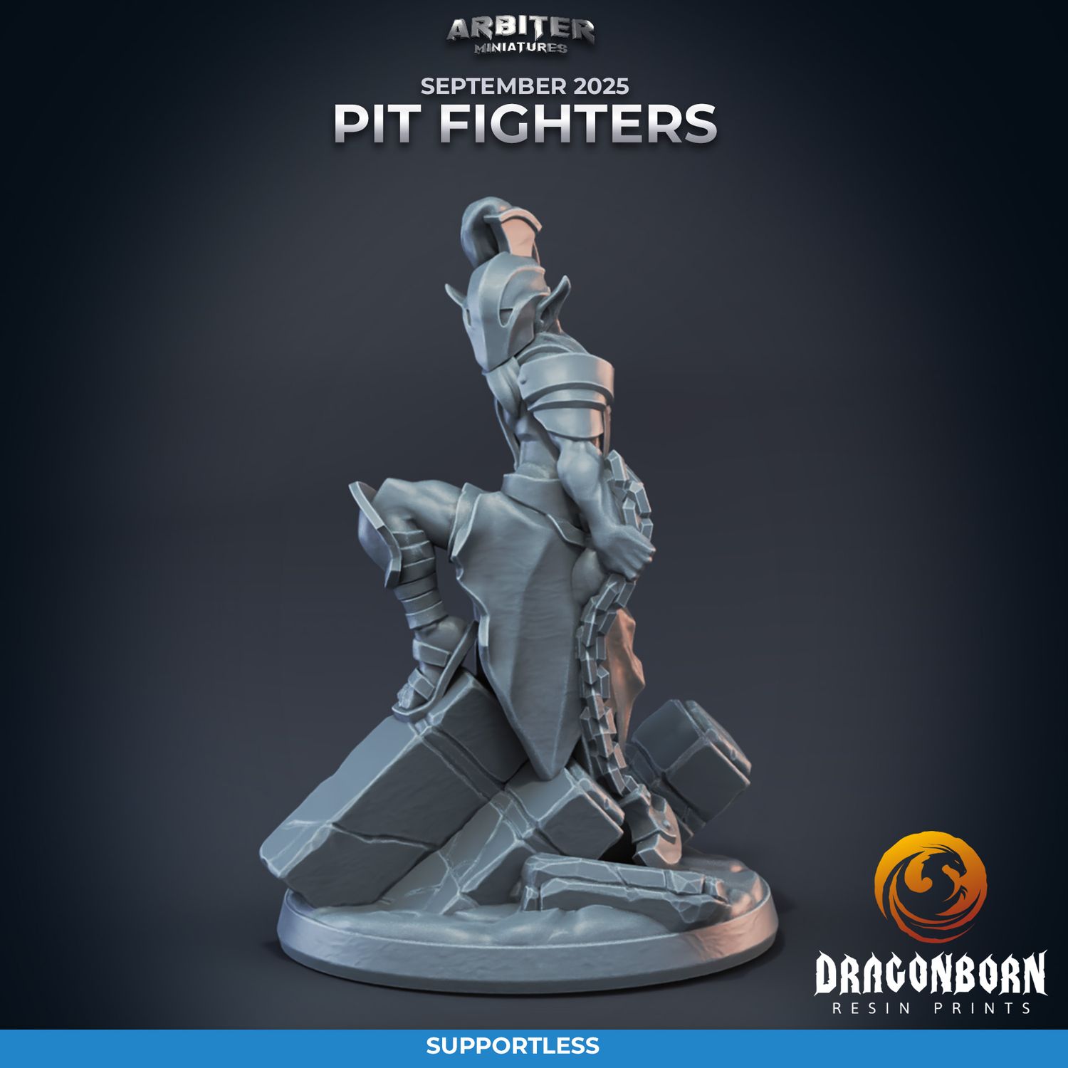 Elf Pitfighter 02 [25/09] - DnD RPG Wargaming Miniatures - supportless version