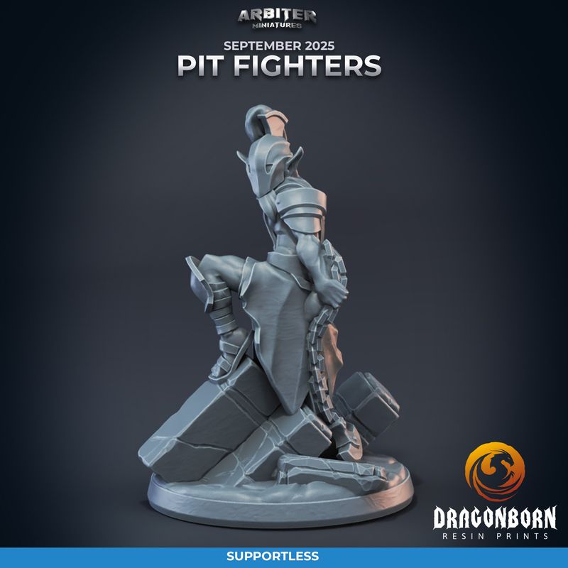 Elf Pitfighter 02 [25/09] - DnD RPG Wargaming Miniatures - supportless version