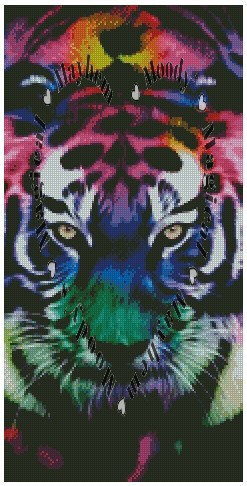 Colourful Tigers