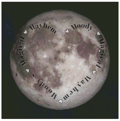 Midnight Moon