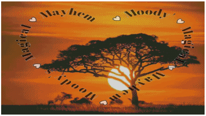 African Sunset