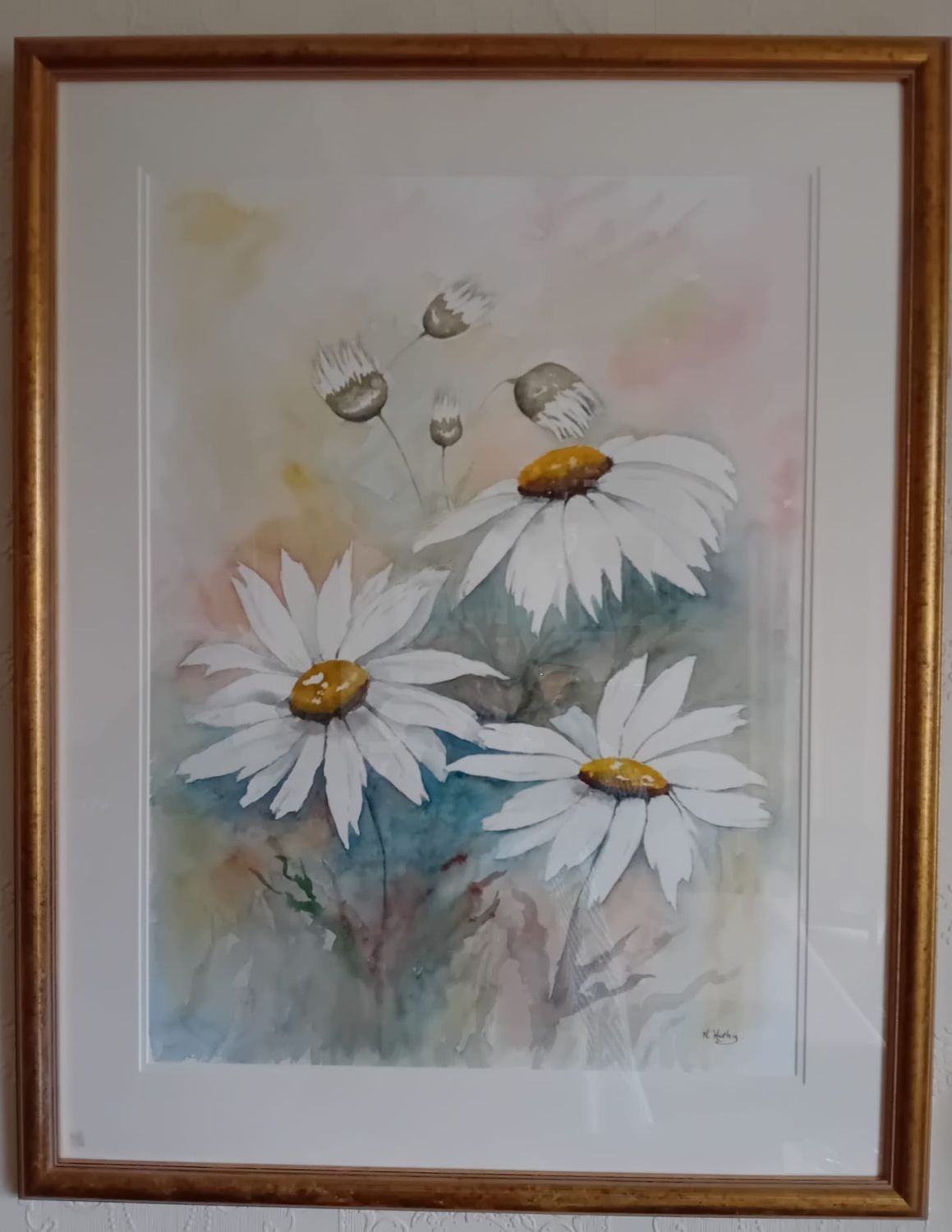 Daises